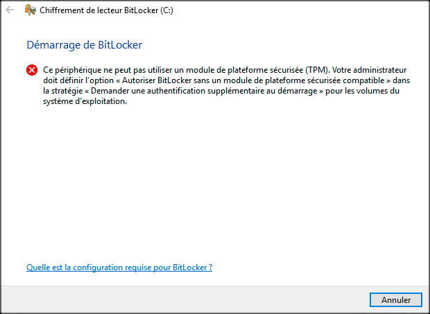 bitlocker pour windows 7 professionnel